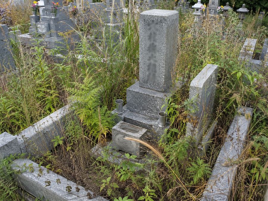草に覆われた古いお墓